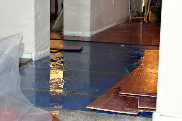 Professional Flood Damage Restoration technician working in Elgin, MN